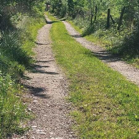 Villa Le Clos Des Oiseaux