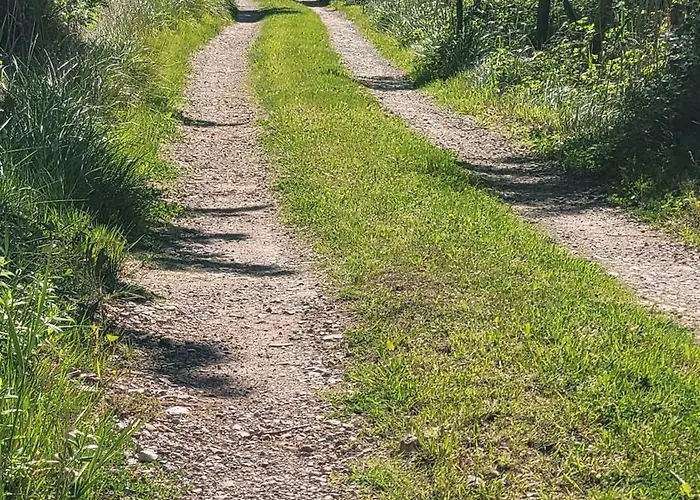 וילה Le Clos Des Oiseaux